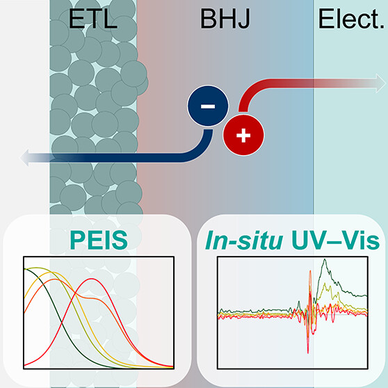 Yongpeng Liu (@yongpengliu) on Twitter photo Combining spectroelectrochemistry, we evaluated the charge carrier dynamics of organic photoanodes for solar fuels. This research, published in <a href="/JPhysChem/">The Journal of Physical Chemistry</a>, originated from @Alex6022's master’s thesis, under the supervision of Kevin Sivula and me at <a href="/EPFL/">EPFL</a>.
doi.org/10.1021/acs.jp… Combining spectroelectrochemistry, we evaluated the charge carrier dynamics of organic photoanodes for solar fuels. This research, published in <a href="/JPhysChem/">The Journal of Physical Chemistry</a>, originated from @Alex6022's master’s thesis, under the supervision of Kevin Sivula and me at <a href="/EPFL/">EPFL</a>.
doi.org/10.1021/acs.jp…