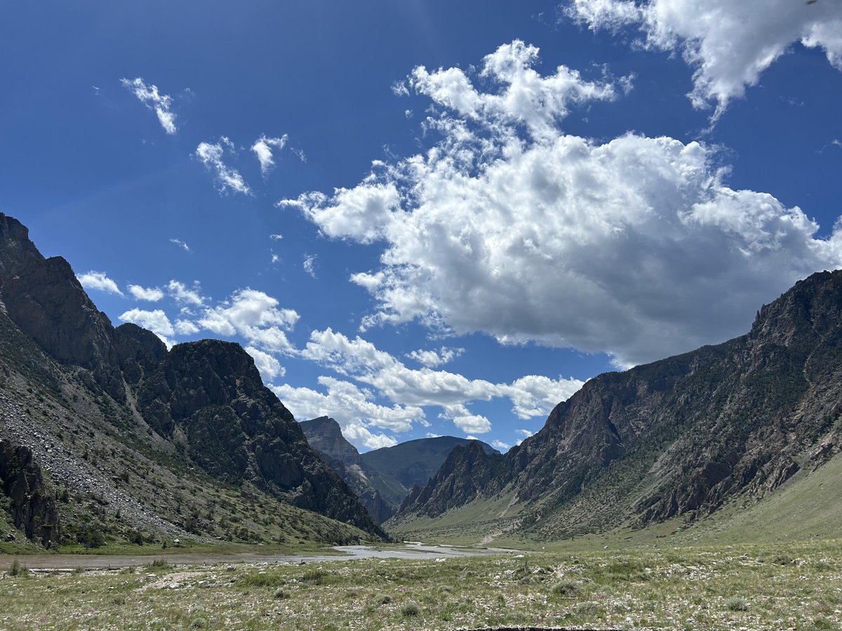 Eternal Explorer tweet media