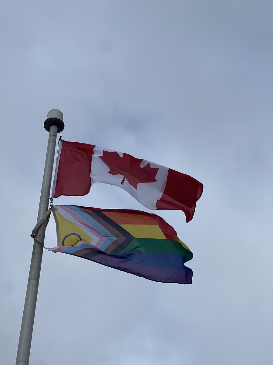 David Suzuki Public School - Markham tweet media