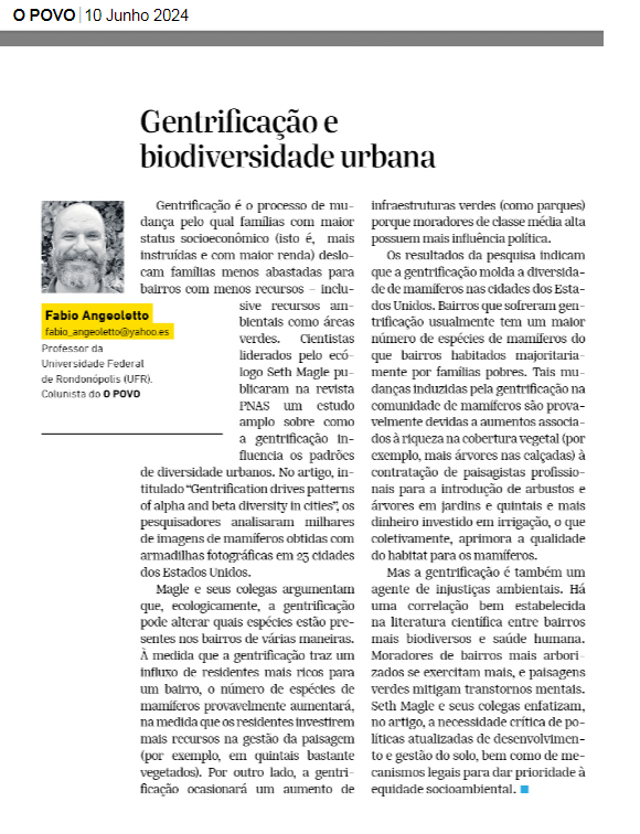 Fabio Angeoletto 🇧🇷 tweet media