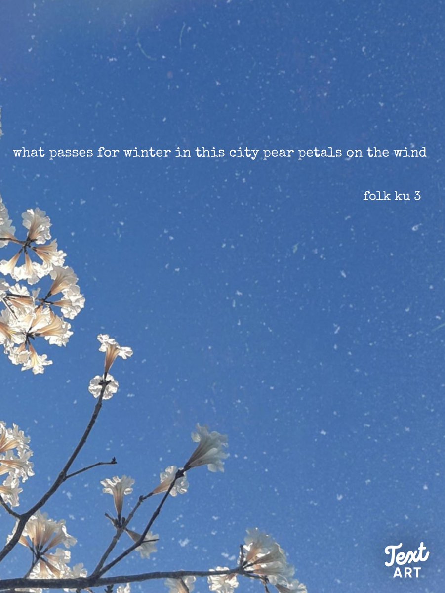 MarcieDWessels's tweet image. my second #oneline poem in folk ku 3. thank you, jodie! #senryu #haiku #monosyich @KingRiverPress1