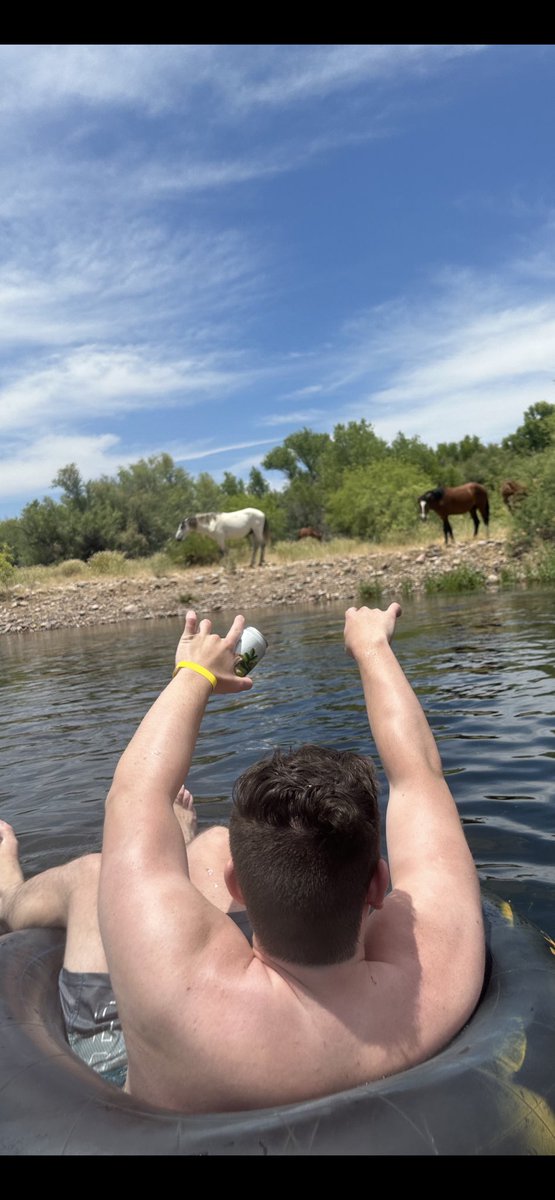 crivrust's tweet image. got offlined after an insane wipeday/weekend but almost tamed a thoroughbred and chestnut in real life