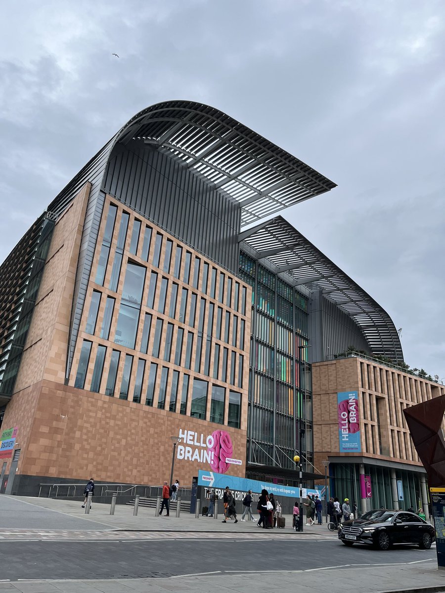 Nooshin Sheidaei tweet media