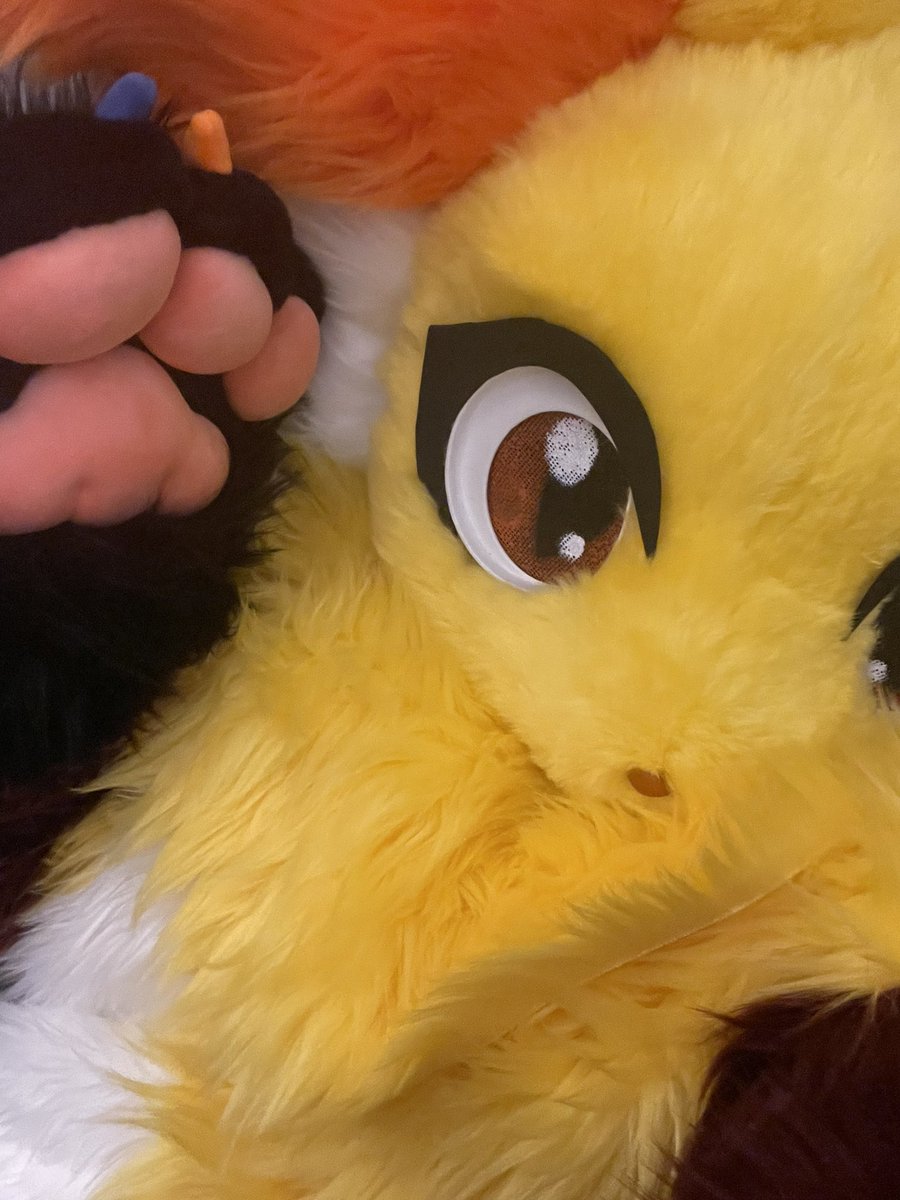 delphoxyy_'s tweet image. Oh? It looks like Fen-Fen is evolving…twice????

Happy #delphoxday~