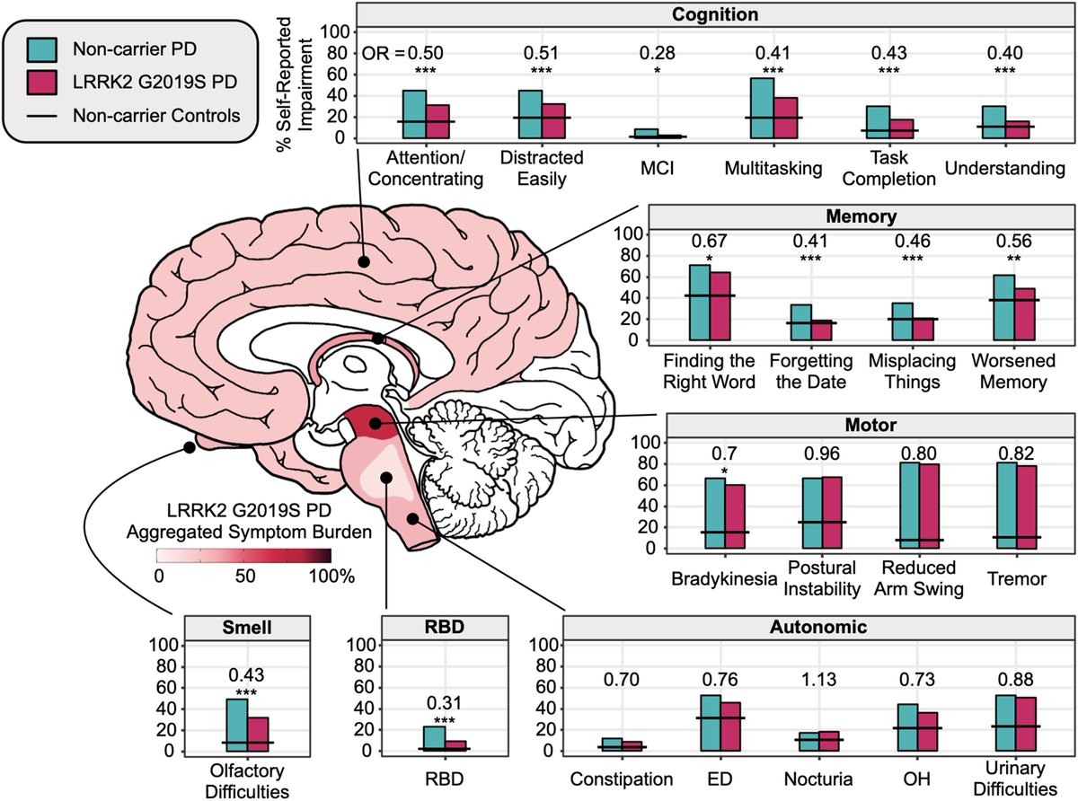 Brain1878's tweet image. In a prospective longitudinal study of people with Parkinson’s disease, Kmiecik et al. find that genotyped LRRK2 G2019S carriers report a similar burden of motor symptoms to non-carriers, but fewer non-motor symptoms. tinyurl.com/ycy27kfn