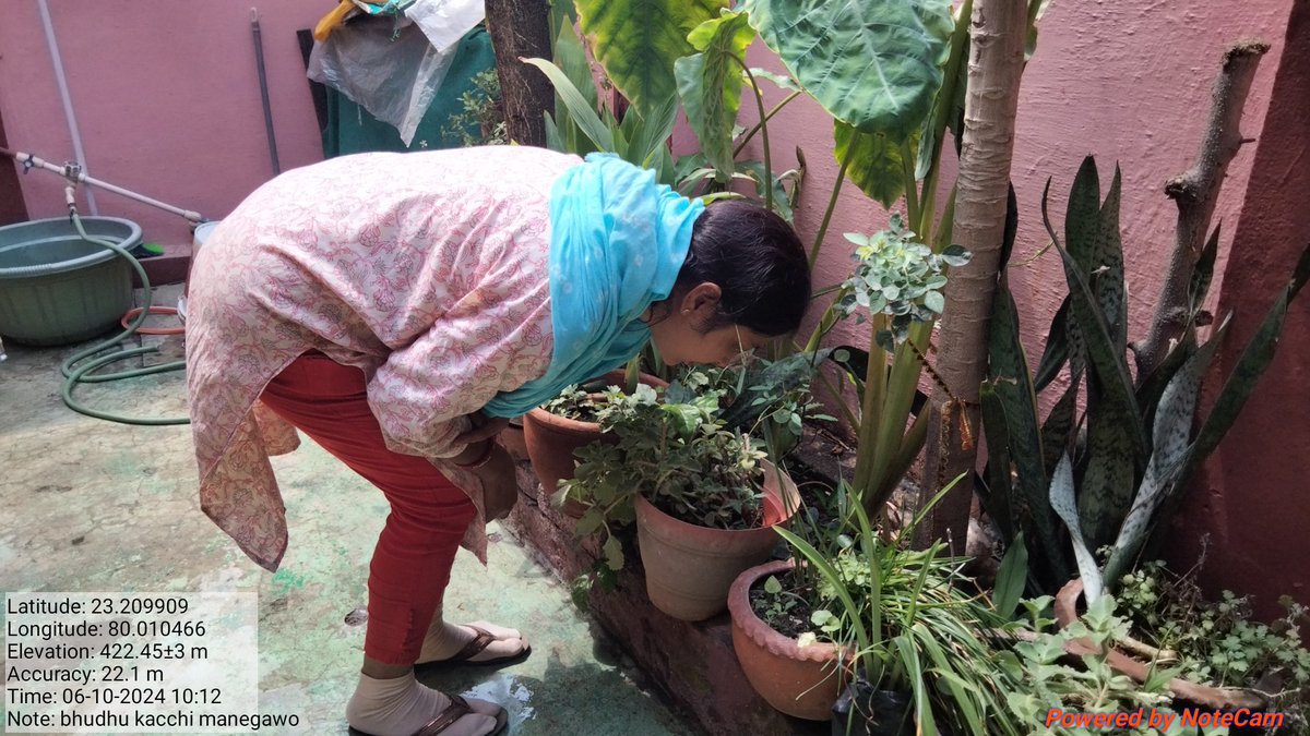 santoshi28734's tweet photo. During the choppal ward 70Zone 5Embed FHI Bhudhu kacchi manegawo people were informed that the Dengu mosquito breeds in the stagnant clean water and bites only during the day.@Avdheshsingh_ @BharatK89148743 @CMMadhyaPradesh @jabalpurdm https://t.co/pwKWbJqgJy