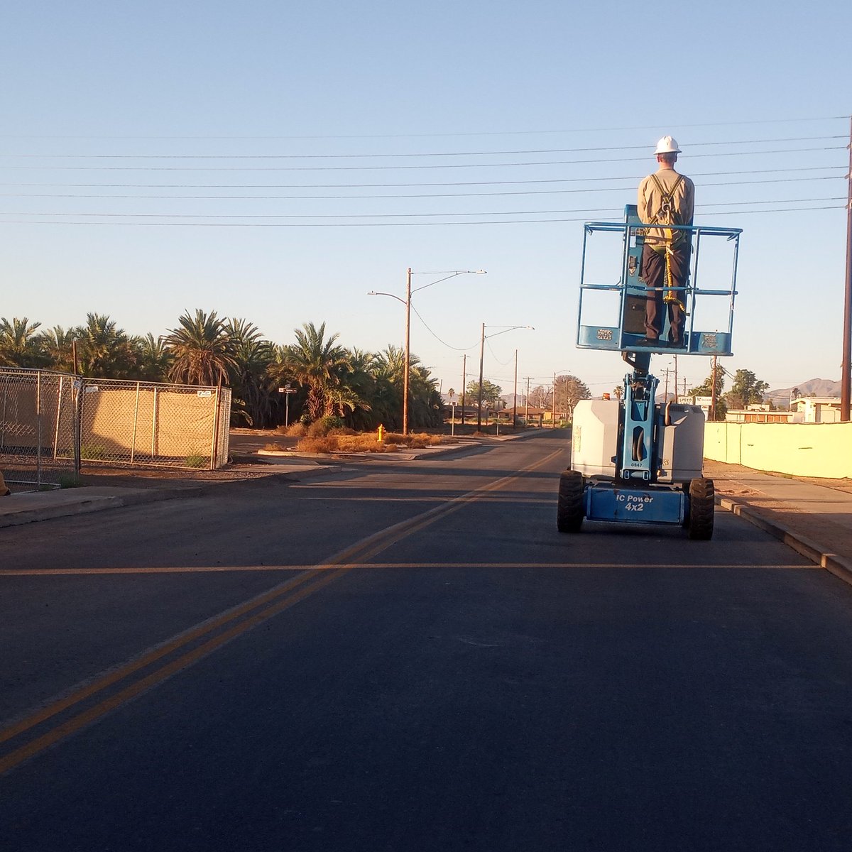 Josh's first day working 25 feet up in a palm on the aerial lift.