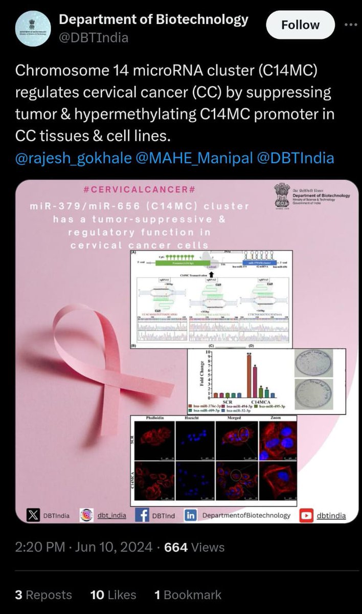 <a href="/DBTIndia/">Department of Biotechnology</a> <a href="/rajesh_gokhale/">Rajesh Gokhale</a> <a href="/MAHE_Manipal/">Manipal Academy of Higher Education</a> Study highlighted the importance of C14MC in cervical cancer. We thank <a href="/DBTIndia/">Department of Biotechnology</a> for highlighting our study,and <a href="/India_Alliance/">DBT/WT India Alliance</a>  and <a href="/serbonline/">SERB</a> for funding the study. Thanks <a href="/DoRMAHE_Manipal/">Directorate of Research, MAHE, Manipal</a>, <a href="/MAHE_Manipal/">Manipal Academy of Higher Education</a>, <a href="/MSLS_MAHE/">Manipal School of Life Sciences</a> <a href="/ccam_cervical/">Cervical Cancer Awareness India</a> <a href="/cervicalcanca/">Cervical Cancer CA</a>