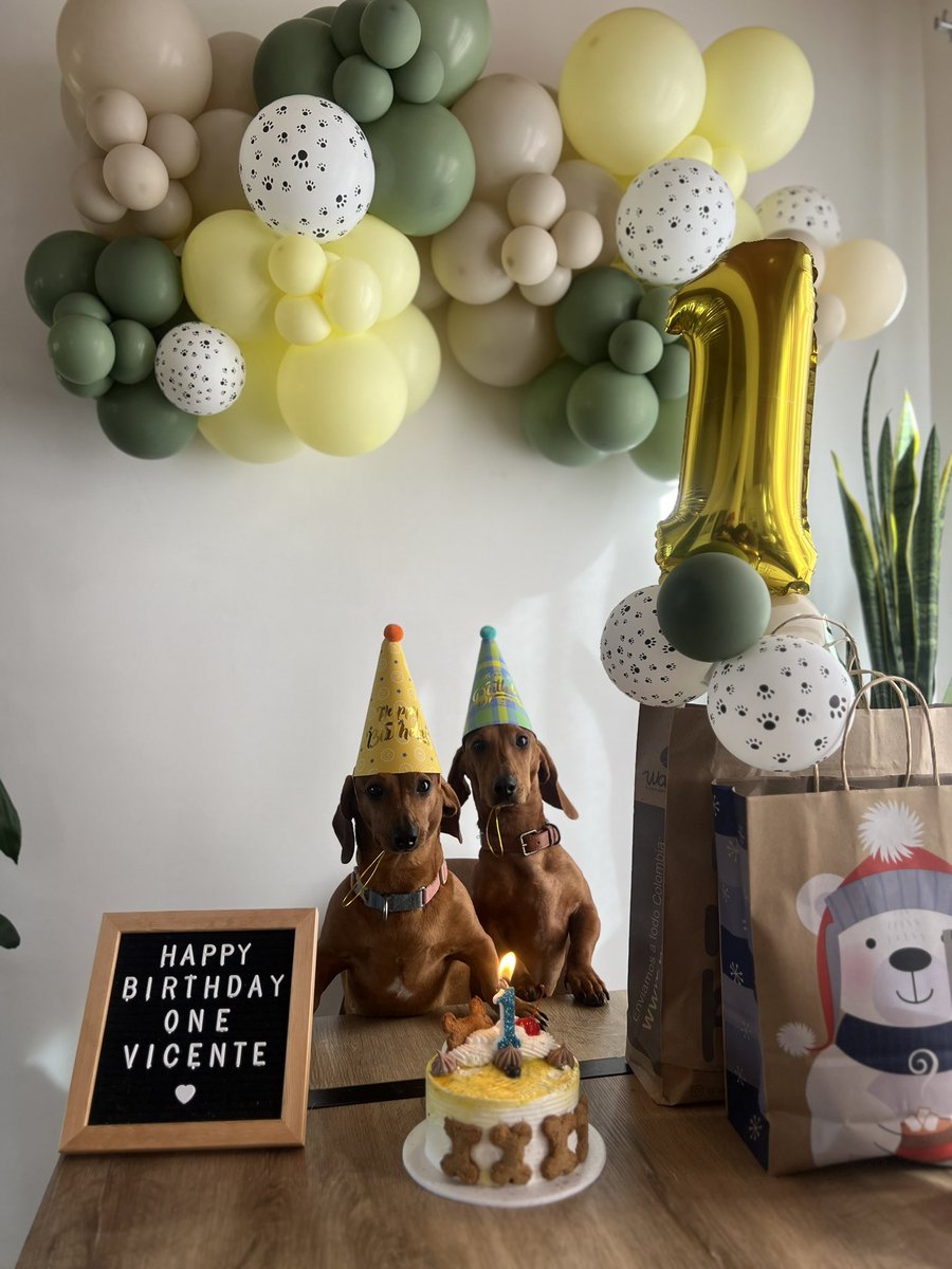 El primer añito de mi Vicente 🌭