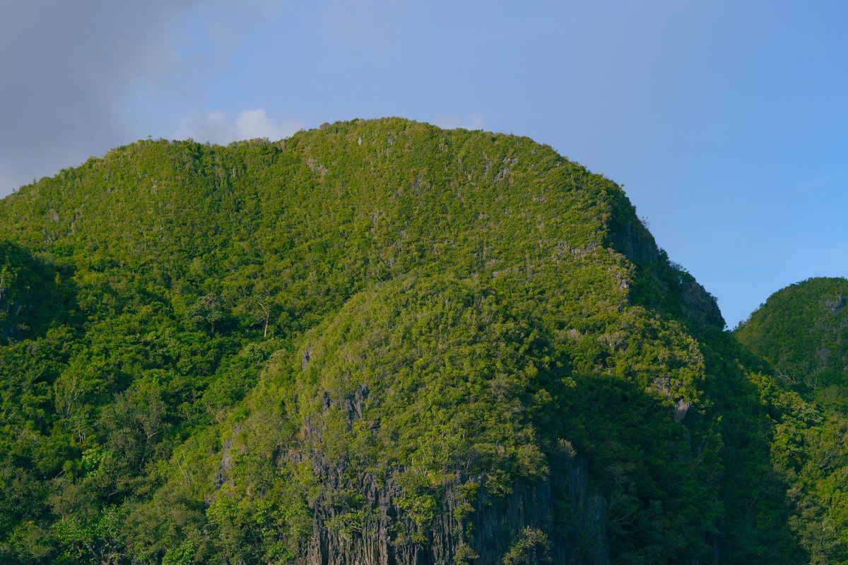 xxHenryST's tweet photo. Please put Caramoan on your bucket list if you like Rock Formations. 

📍Caramoan, Camarines Sur https://t.co/4o5QHhbs3a
