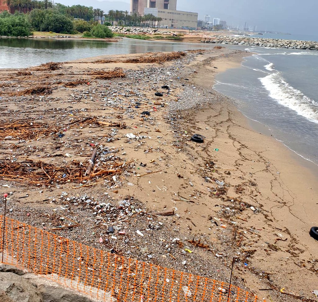 La Marea Verde Sant Adrià de Besòs tweet media