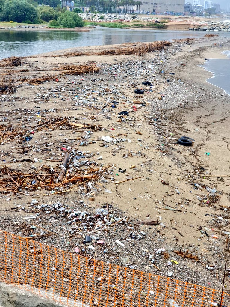 La Marea Verde Sant Adrià de Besòs tweet media