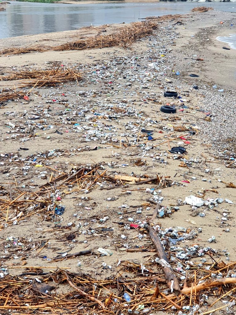 La Marea Verde Sant Adrià de Besòs tweet media