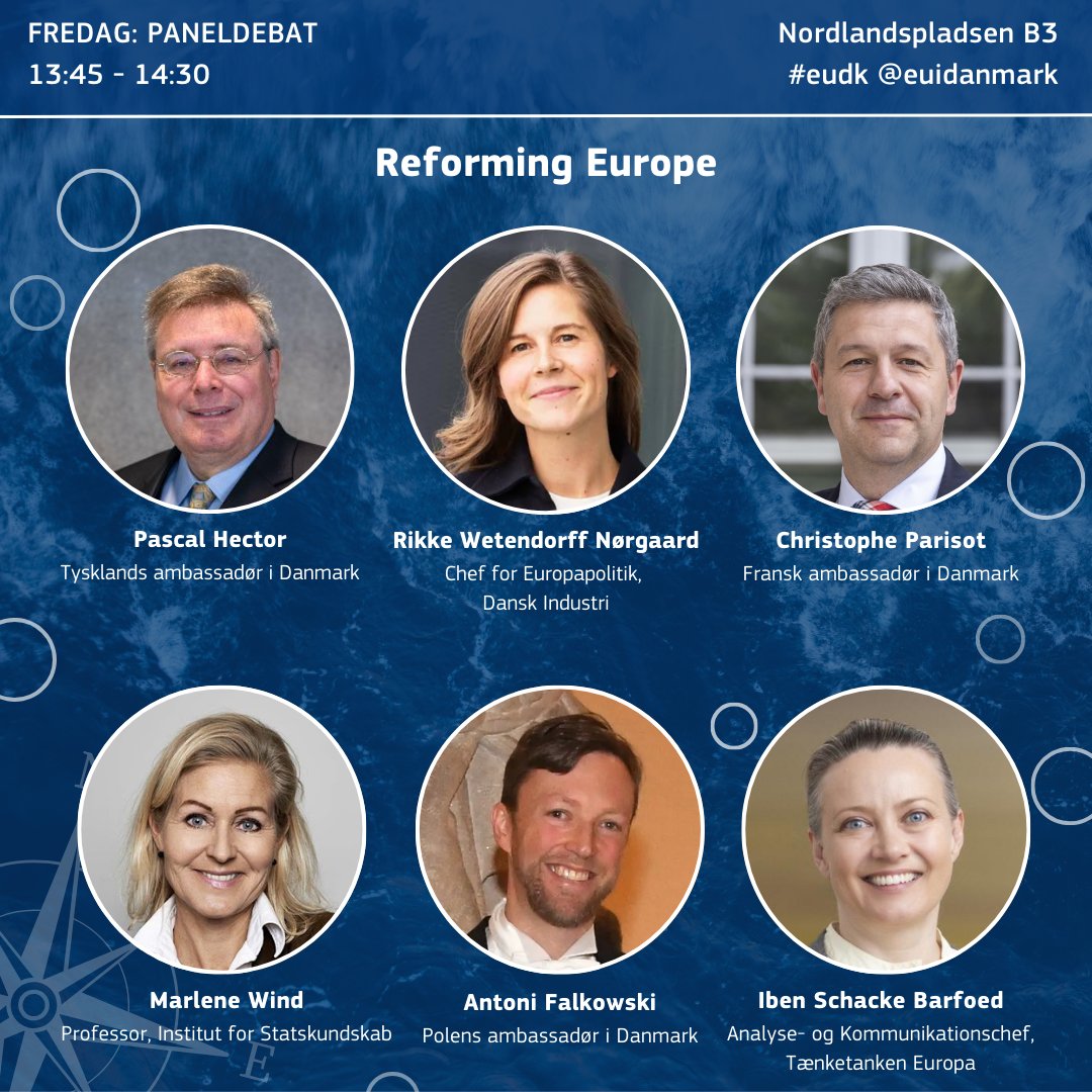 EU i Danmark tweet media