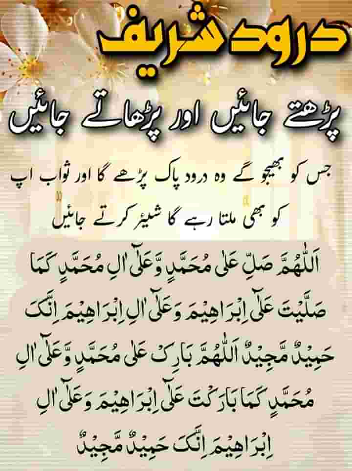 Azhar Hussain Sajid🐦🕊🌱 (@azharhu57) on Twitter photo 