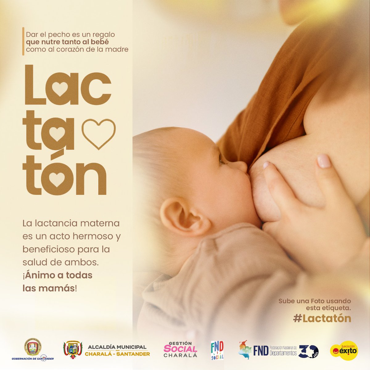 alcaldiacharal2's tweet photo. La #lactancia provee la seguridad #emocional para el inicio de vida que necesita todo ser humano. Entre todos, es posible generar un entorno donde madre e hijo se sientan cómodos 👶🤗  @GobdeSantander @TotoyaCasallas @karinAraujoM https://t.co/rojpBsQjM8