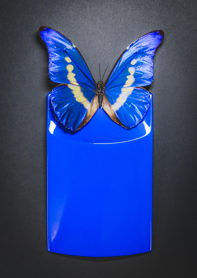 Cypris Materials, Inc., is a new RadTech member poised to offer a novel, sustainably oriented alternative to traditional pigments and dyes for matchless coloration in paints, inks and coatings, including UV-curable coatings. To learn more visit uvebtech.com/featured/2024/…