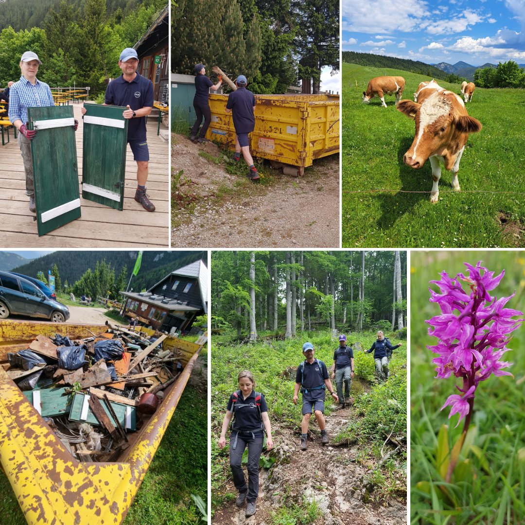 Am 7. Juni fand wieder der jährliche #HLBCommunitiesday statt, an welchem das #teamhlb etwas an die lokalen Communities zurückgeben möchten. Gemeinsam mit dem Alpenverein haben auf der Edelweisshütte am Schneeberg Müll gesammelt. 

#sustainableimpact #togetherwemakeithappen