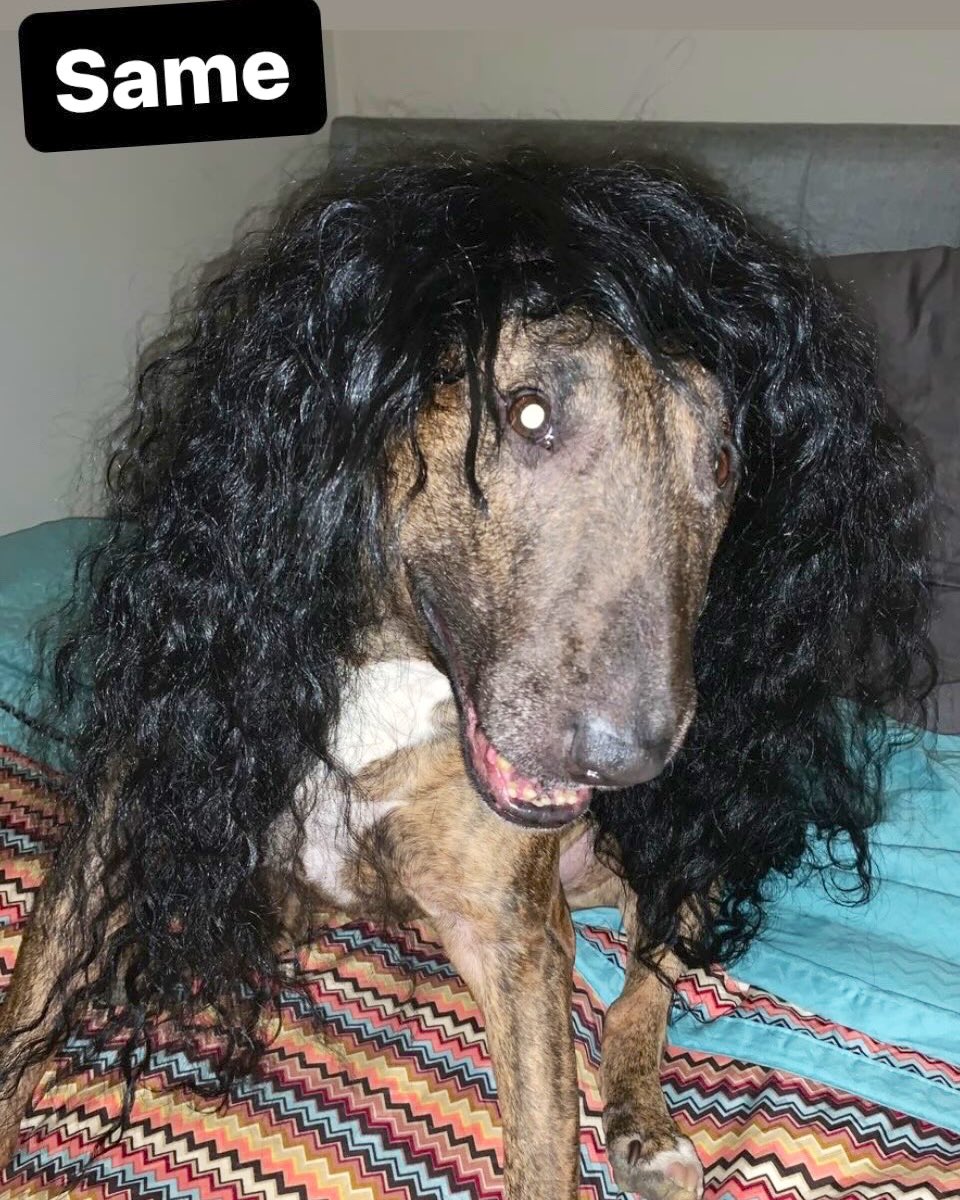 Otis Reddit tweet media