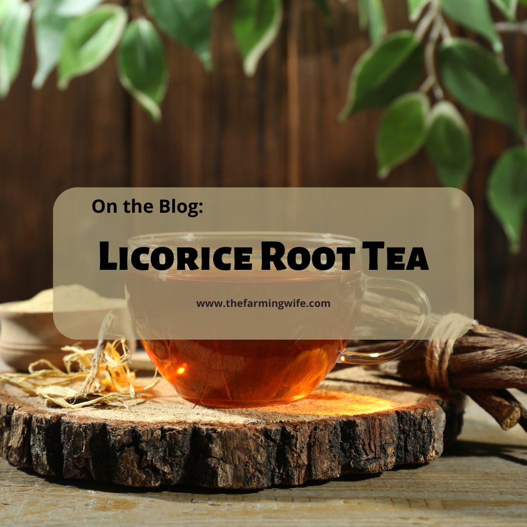 A new tea blend for you! Licorice Root Tea is tasty as much as it is soothing. I hope you love it.
#recipe #recipes #homemade #homesteading #homestead #farmlife #gardening #homesteadinglife #homesteadlife #farm #farming #homegrown #growyourown #sustainableliving #selfsufficient
