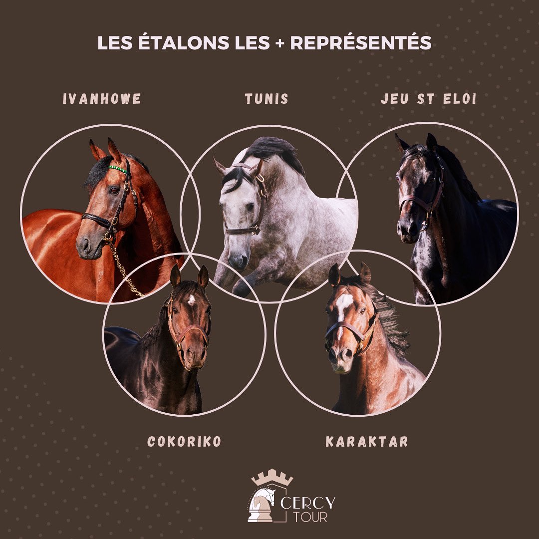 CERCY TOUR tweet media