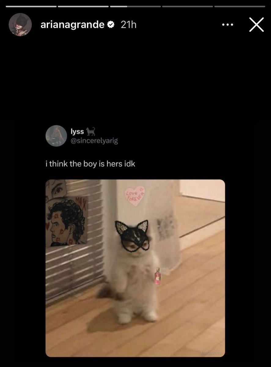 DEGEN NEWS tweet media