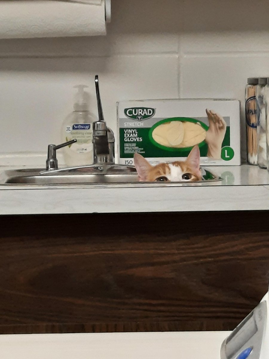 jesseja1mes's tweet image. #poderososigueigual @monnaghan