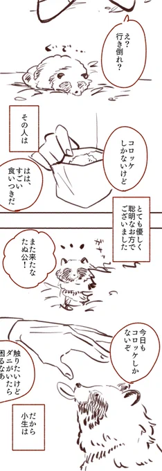 たぬきの夢野の妄想。 