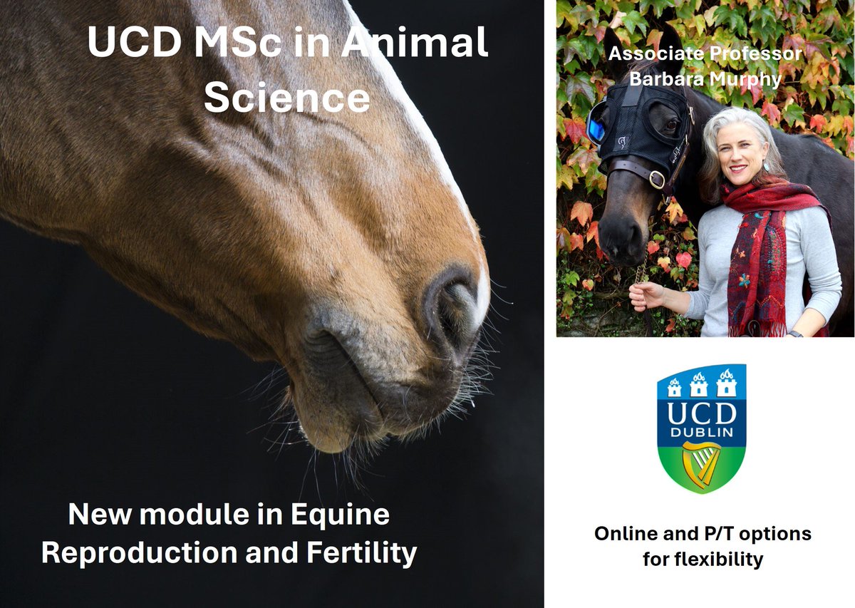 MScAnimalScienceUCD (@mscansc) on Twitter photo New Equine module from Spring 2025 as part of our MSc programme in Animal Science, UCD <a href="/ucdagfood/">UCD School Ag & Food</a> New Equine module from Spring 2025 as part of our MSc programme in Animal Science, UCD <a href="/ucdagfood/">UCD School Ag & Food</a>