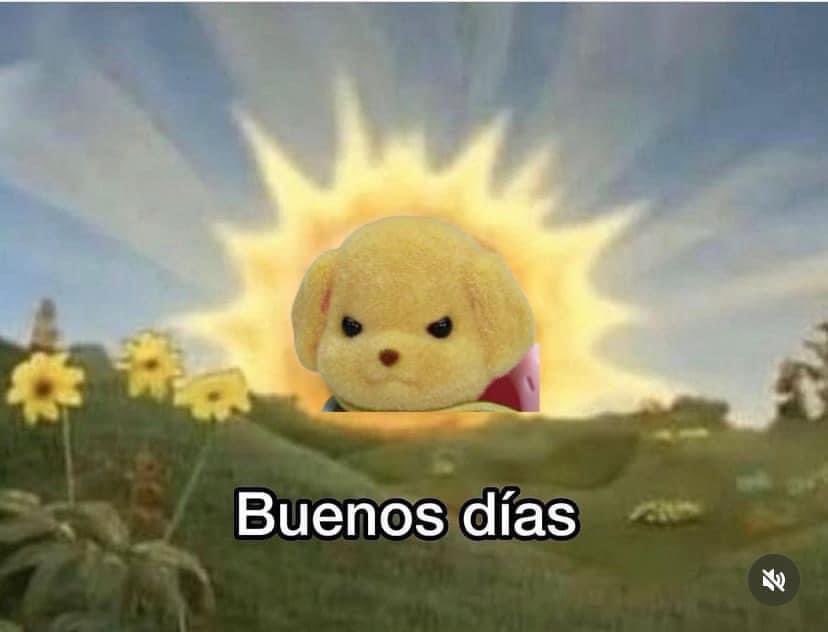 carmeliiru's tweet image. Buenos días 🙌🏼✨que sea una bonita semana para todos  #PoderosoSigueIgual