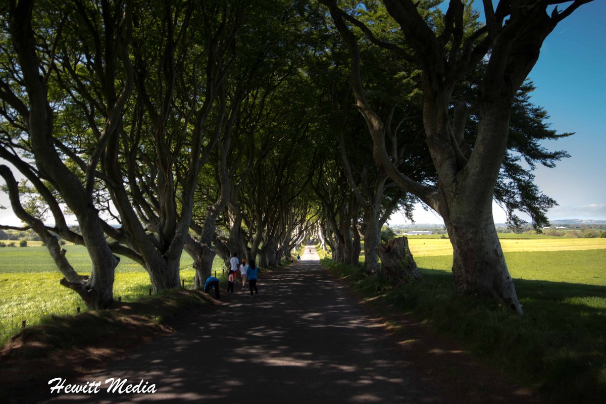 WanderLust1280's tweet image. If you are a fan of the Game of Thrones, you will probably recognize the Dark Hedges.  Learn more about this amazing place in my Dark Hedges Visitor Guide. #Travel #NorthernIreland #DarkHedges #GameOfThrones #BeautifulLandscapes #TravelPhotography  wanderlustphotosblog.com/2018/07/14/dar…