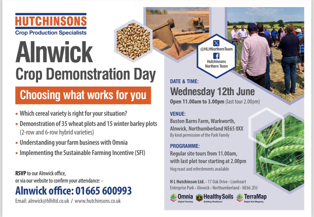 Hutchinsons Northern Team tweet media