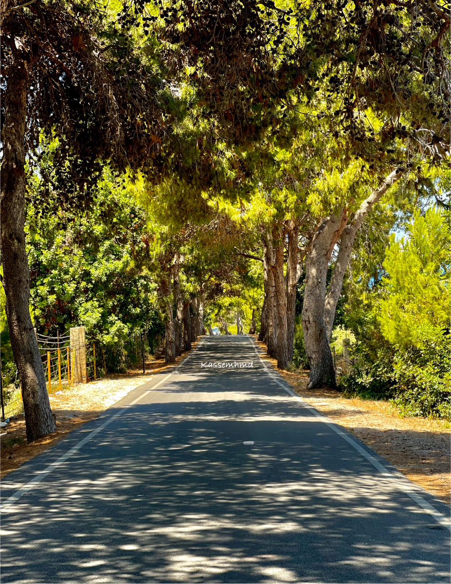 kassemhmd's tweet photo. وكل دروب الجنوب جمال💙الحنية https://t.co/q2tH4H6ltc