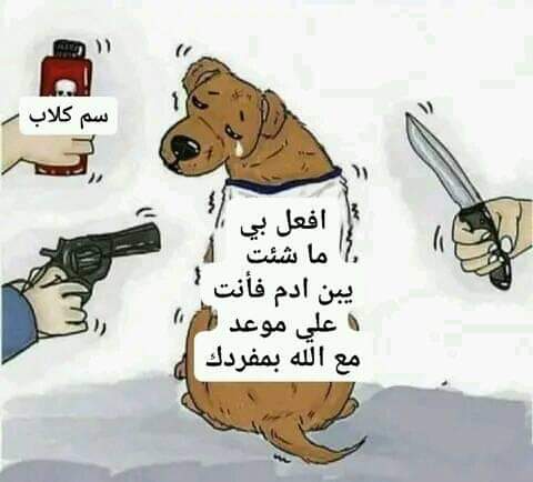 #القبض_على_معذب_القطط_بجدة