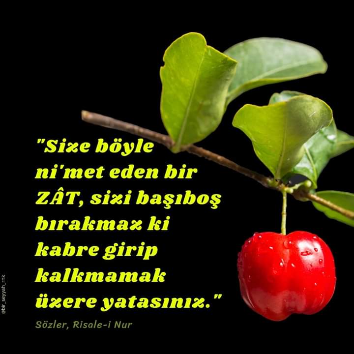lema_lar's tweet photo. https://t.co/KFUY1ME5yz
