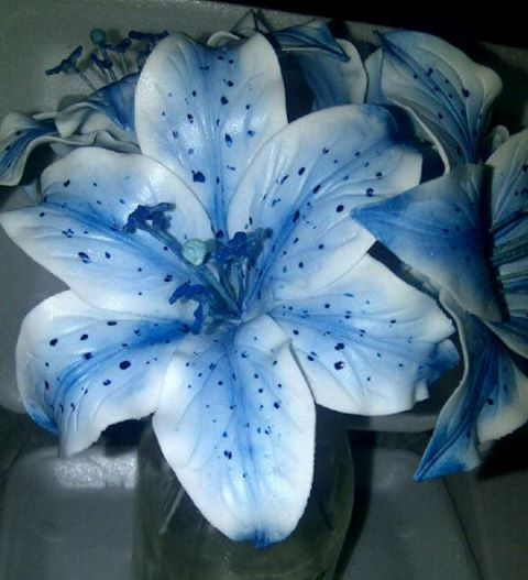 lavieestbelIe's tweet photo. Blue stargazer lilies https://t.co/2i13Hf41xl