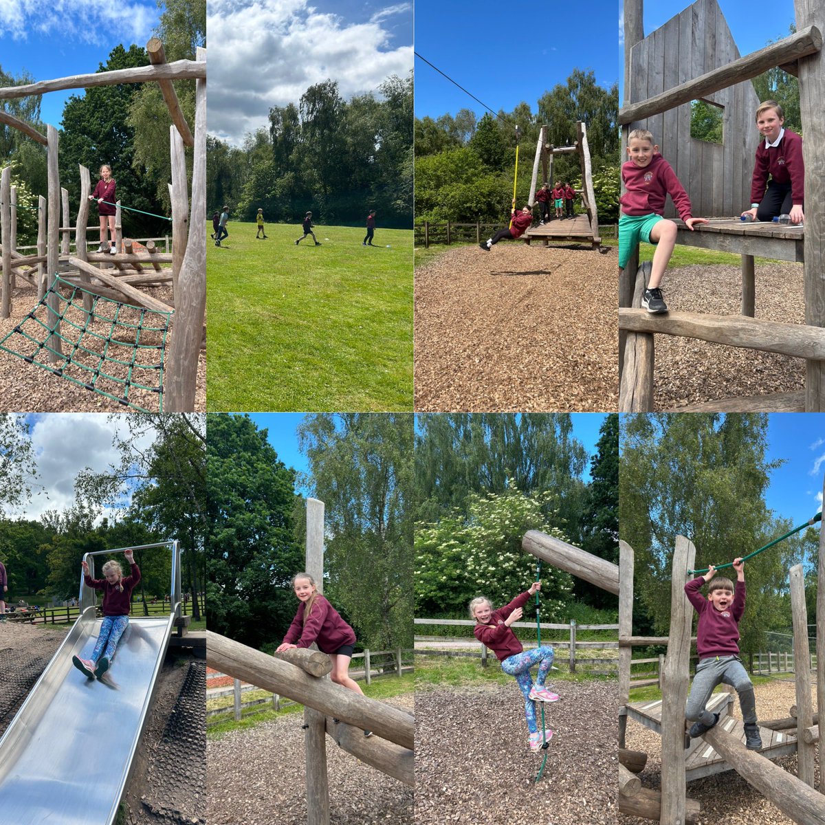 MissBookerBA's tweet photo. Go Ape🧗🌳 https://t.co/mus4CWeHkF