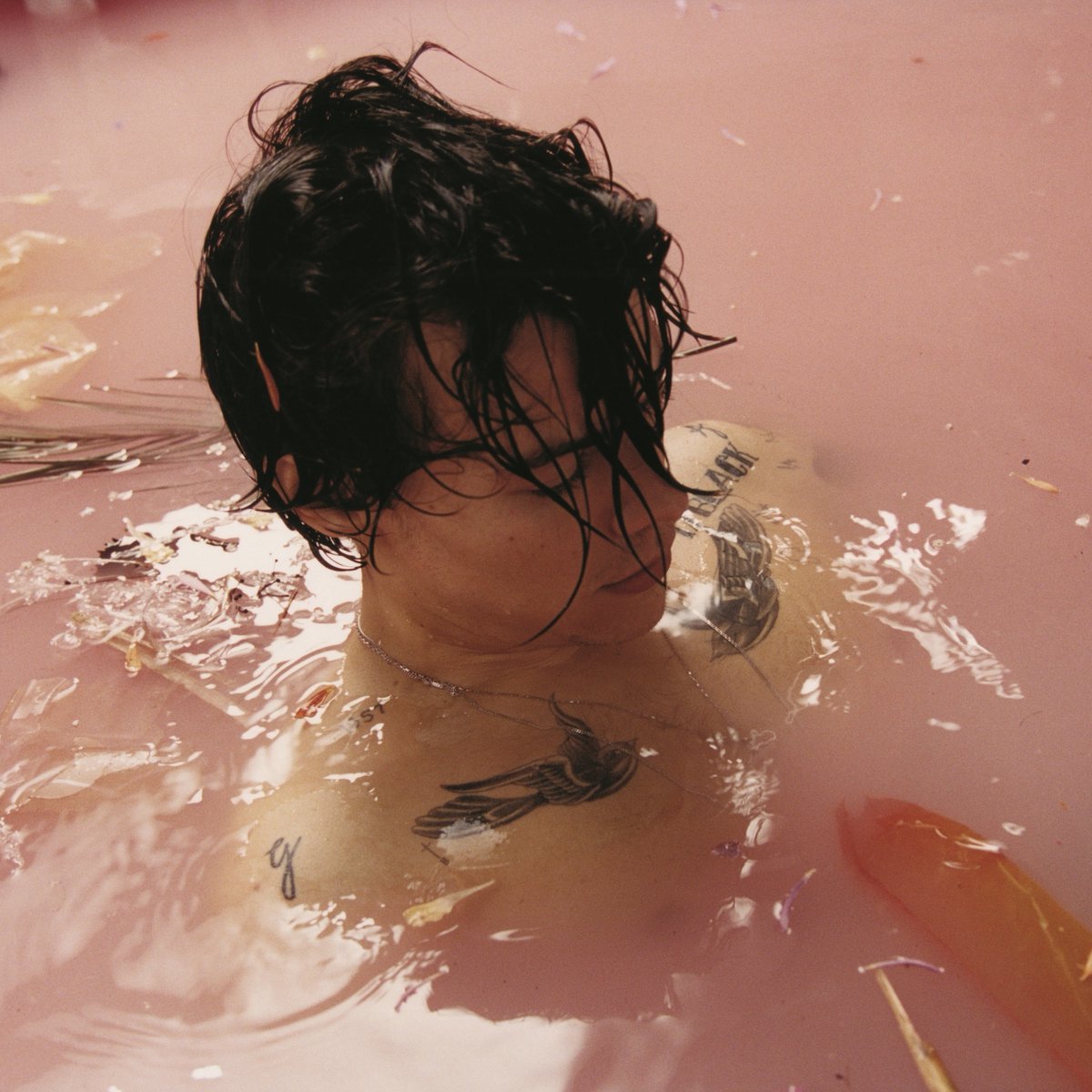 Today in 2017, <a href="/Harry_Styles/">Harry Styles.</a>' 'Harry Styles' debuted at #1 on the Billboard 200 with 230,000 sold.  

It earned the biggest sales week for a debut album by a British male in the Soundscan era and went Platinum.