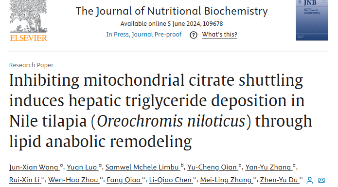 Mchele Limbu tweet media