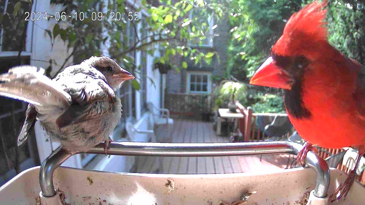 LeoTheLess's tweet image. Have we met before? ⁦@FeitElectricInc⁩