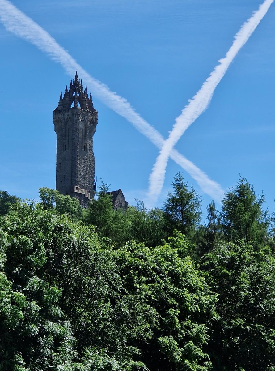 Eternal Explorer tweet media