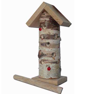 woordlicht's tweet image. Zomer betekent veel insecten. Lieveheersbeestjes zijn natuurlijke vijanden onder meer witte vlieg en bladluis. moestuinierenmetkinderen.nl/product/insect…
Lezers van de moestuinmail ontvangen 10% korting. Nog geen meelezer? Je kunt je hier opgeven!
moestuinierenmetkinderen.nl/aanmelden-moes… #moestuintips #moestuin