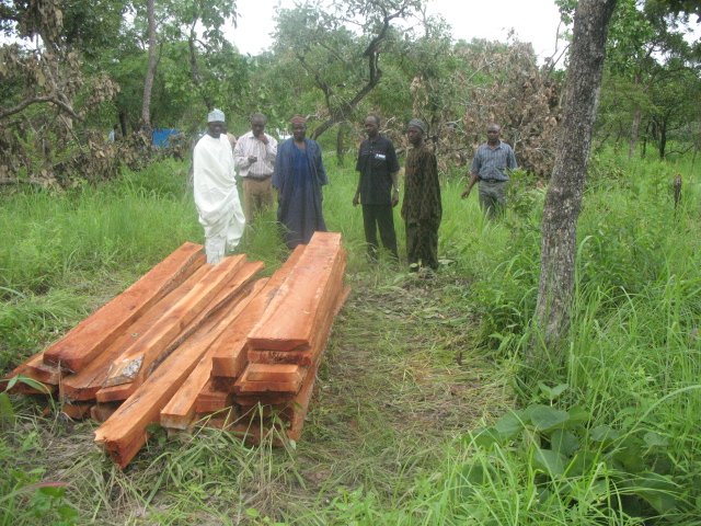 "ALARMING! Nigeria's forests &amp; savannahs are disappearing at an unprecedented rate due to lack of enforcement of existing laws! It's time for urgent action to protect our environment &amp; preserve our natural heritage! #SaveNigeria'sForests #EnforceEnvironmentalLaws