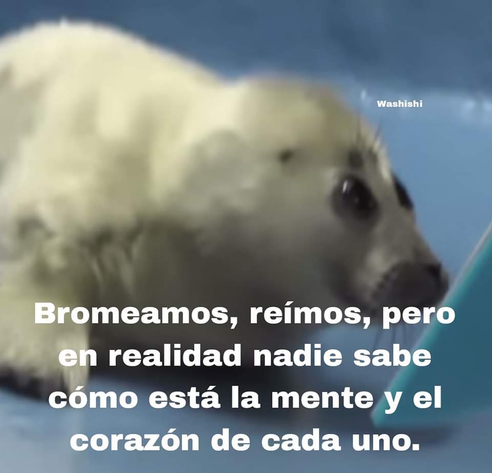 En Júpiter tweet media