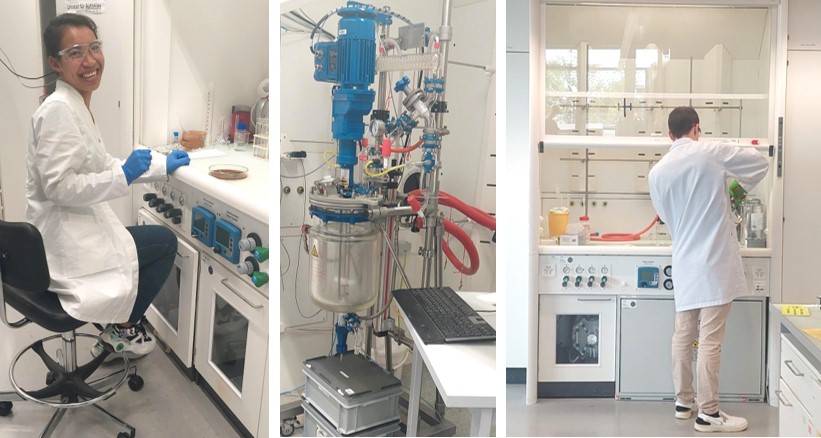 Gillian Collins tweet media