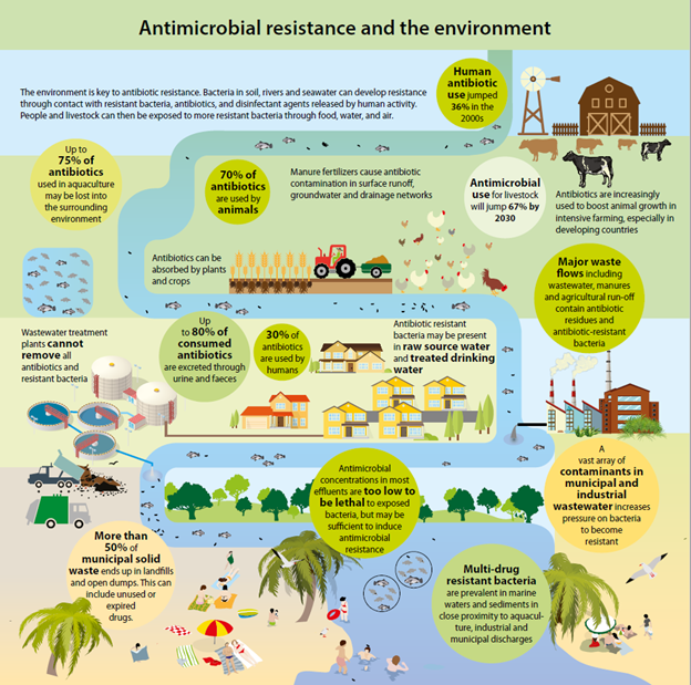 UN Biodiversity (@unbiodiversity) on Twitter photo 🌿💊 Overuse of antibiotics isn't just a health concern – it's an environmental one too. Learn how antibiotics in agriculture and food production contribute to antimicrobial resistance and pose risks to ecosystems.
➡️unep.org/news-and-stori…
Via <a href="/UNEP/">UN Environment Programme</a> 🌿💊 Overuse of antibiotics isn't just a health concern – it's an environmental one too. Learn how antibiotics in agriculture and food production contribute to antimicrobial resistance and pose risks to ecosystems.
➡️unep.org/news-and-stori…
Via <a href="/UNEP/">UN Environment Programme</a>