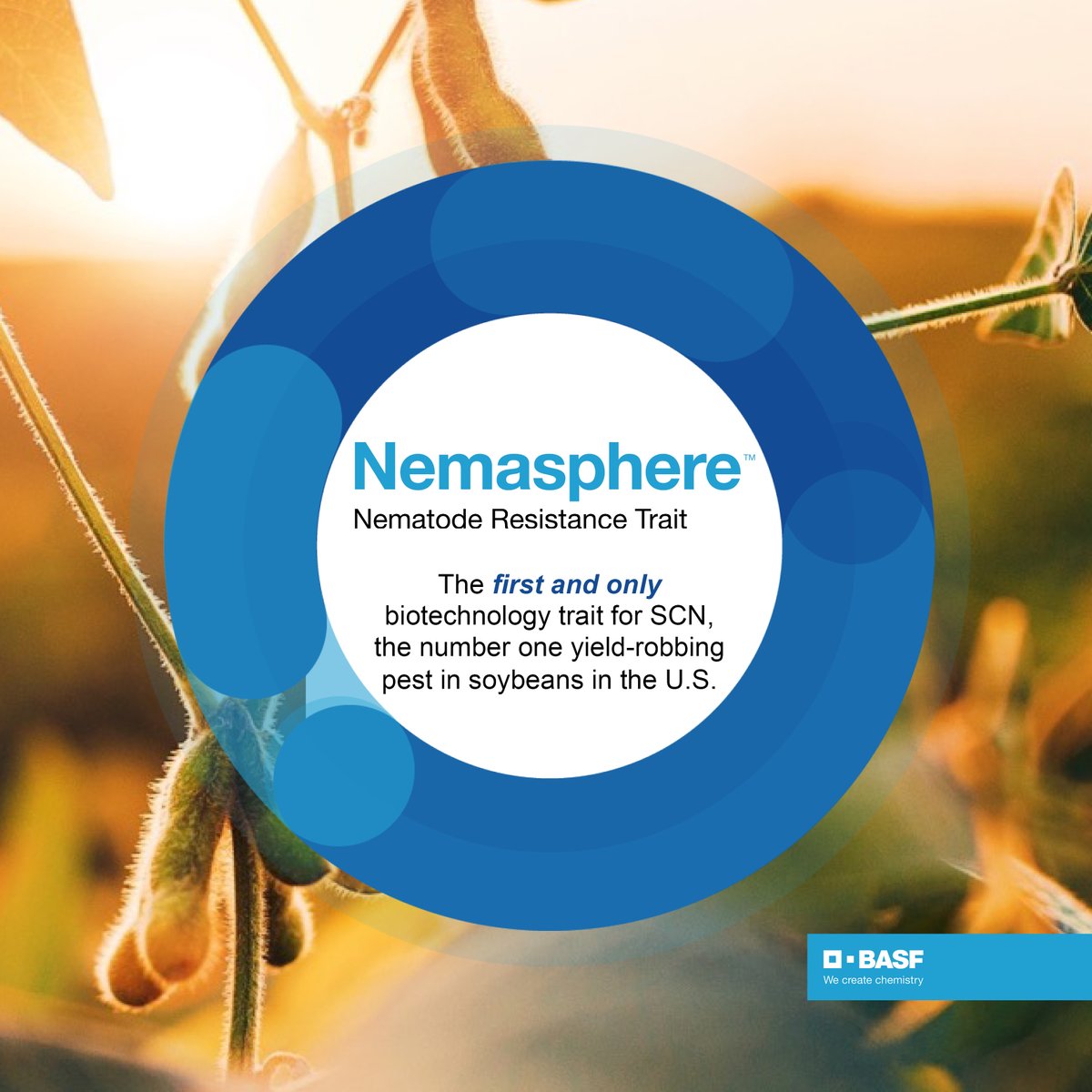 Introducing Nemasphere™, the most groundbreaking innovation in SCN management in over 60 years. The first and only biotechnology trait for SCN, on average it boosts yield potential by 8%. This impactful innovation is expected to be available in 2028. bit.ly/3VkyKOe