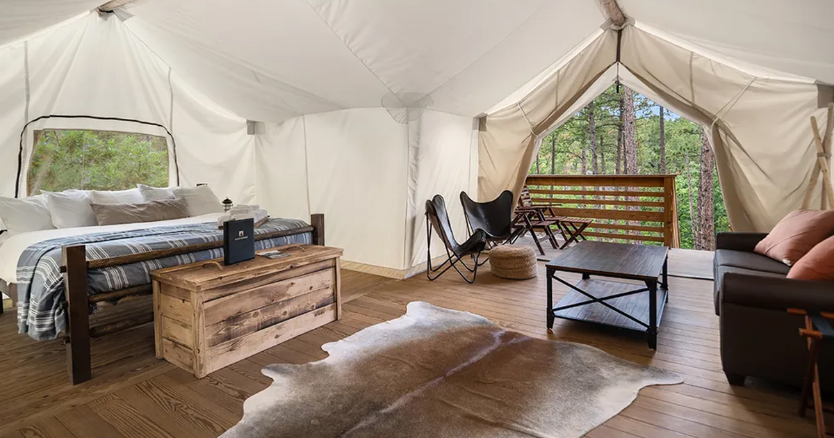 Visit CA News tweet media