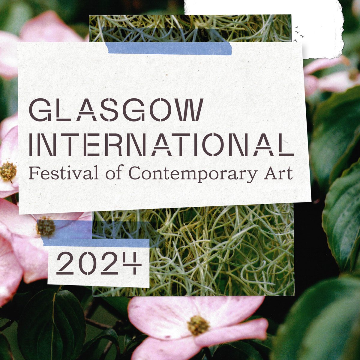 Premier Scotland tweet media