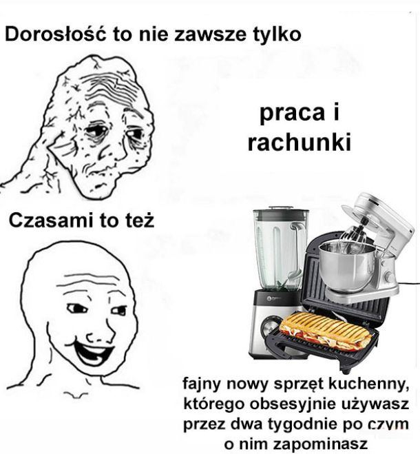 donald.pl tweet media
